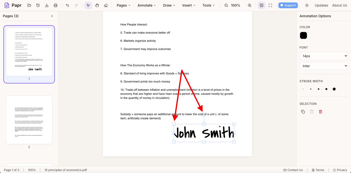 Signature placed on document with resize handles visible