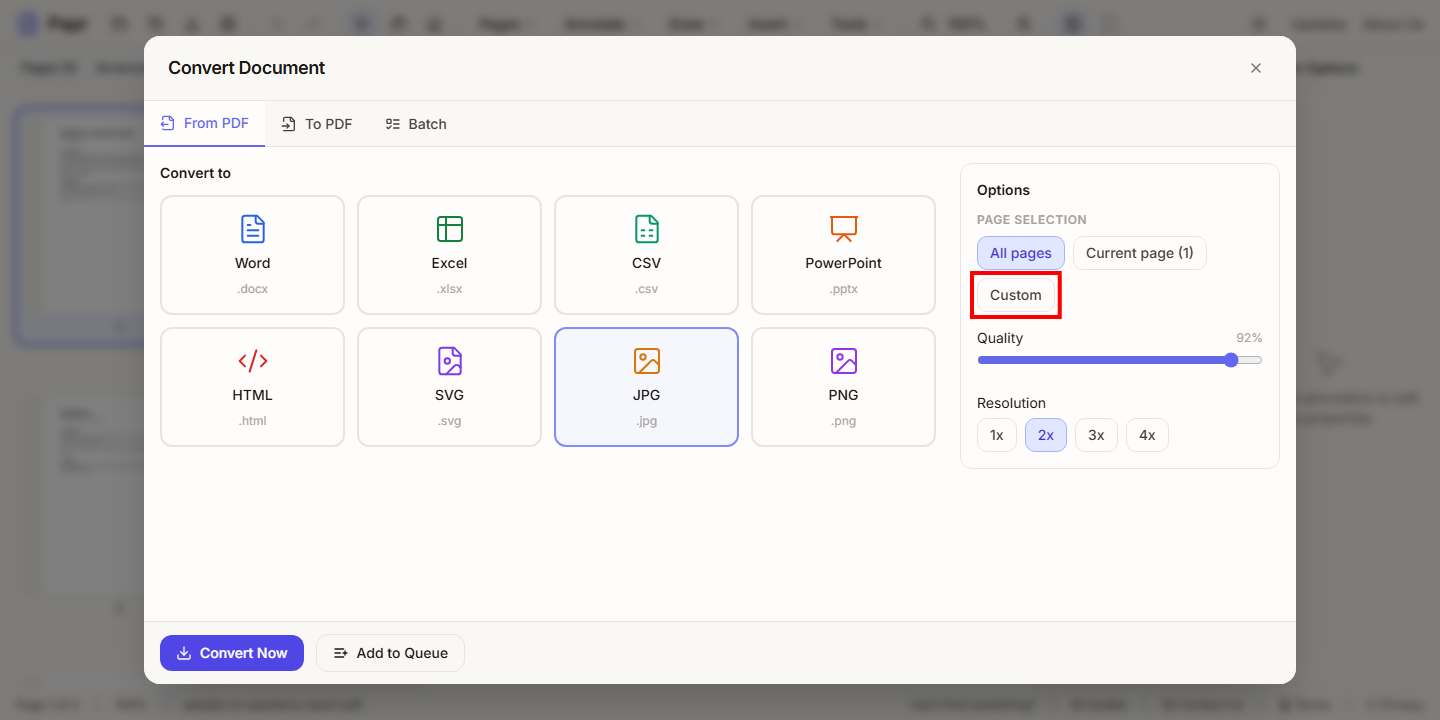 The options panel for JPG, with the Custom page selection outlined in red.