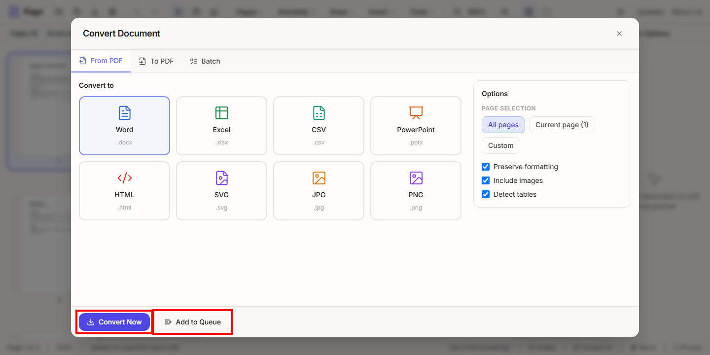 The Word options: page selection, three ticked options, and Convert Now and Add to Queue at the bottom.