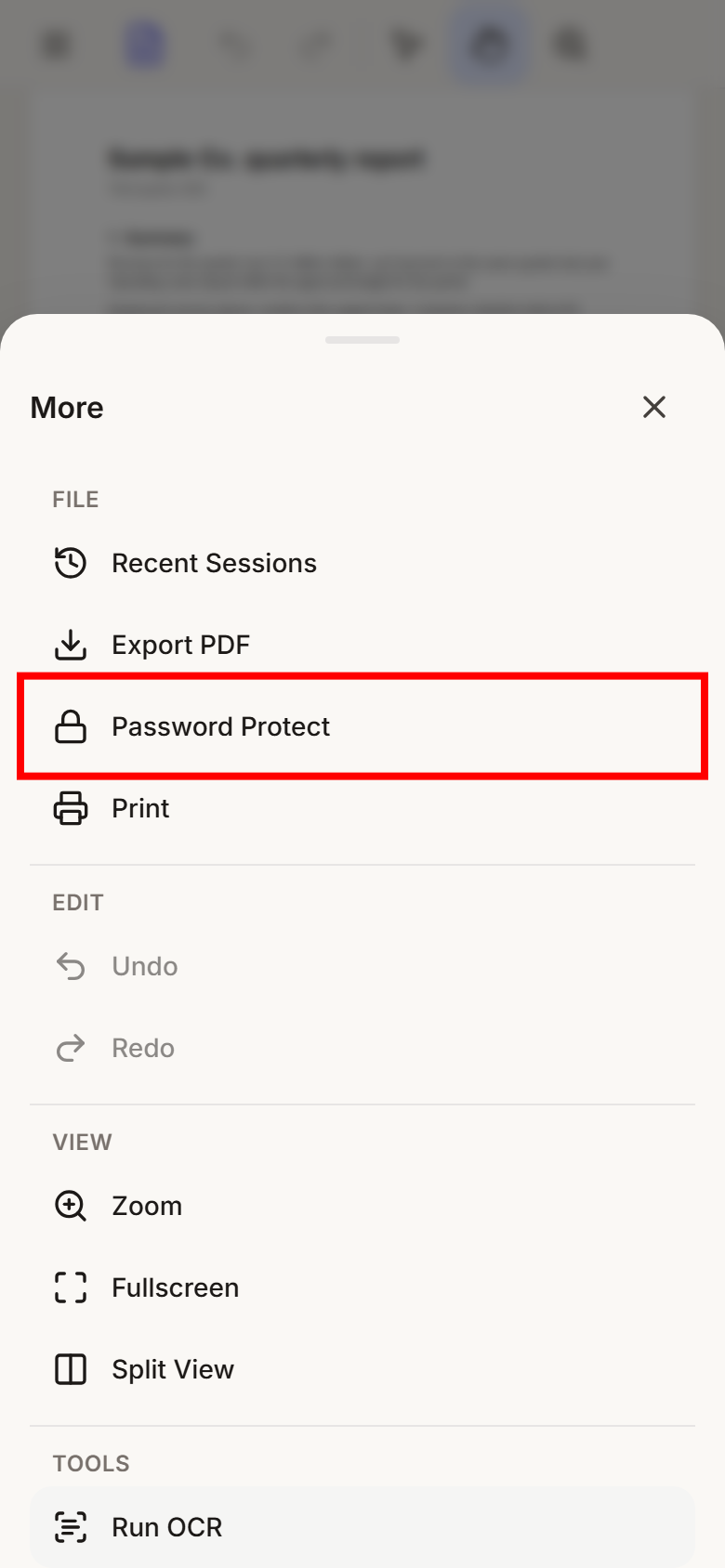The More sheet with Password Protect outlined in red.